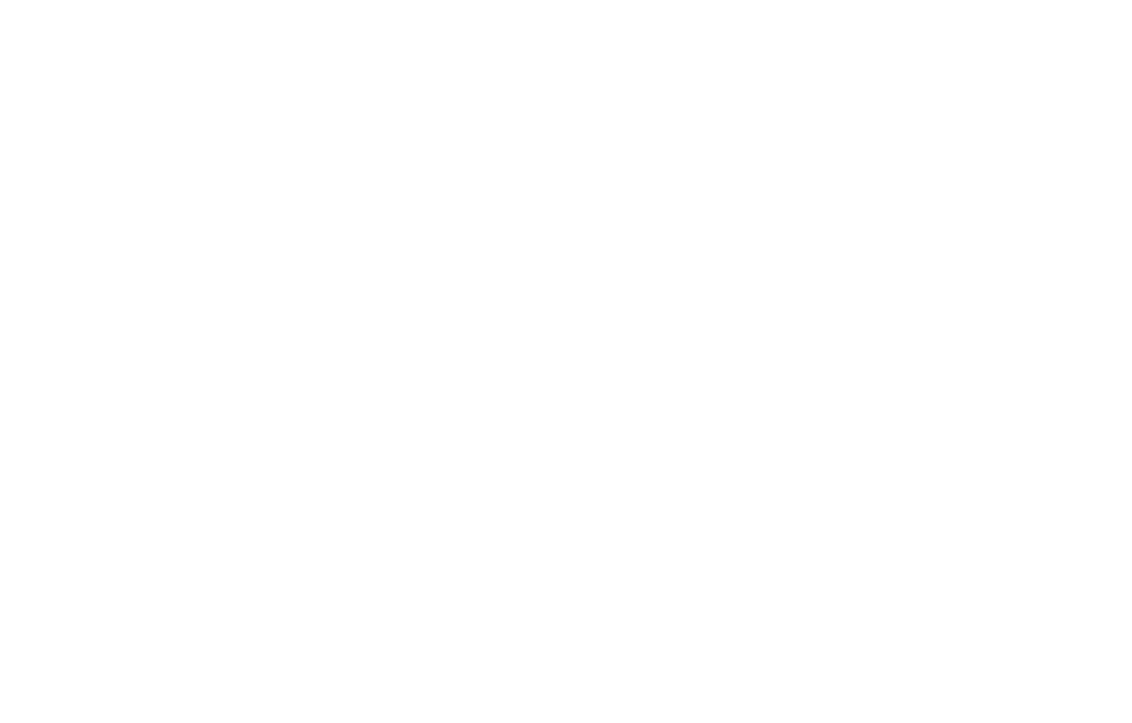 Program Requirements – Youth Futures